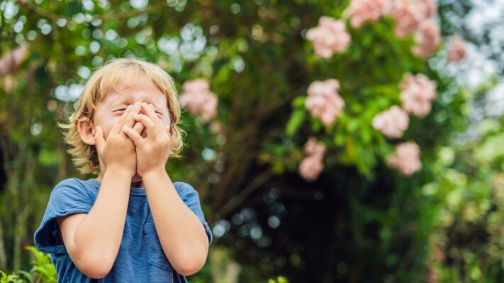Cocuk Alerjisi Immunoloji ve Alerji Nedir Hangi Hastaliklari Kapsar